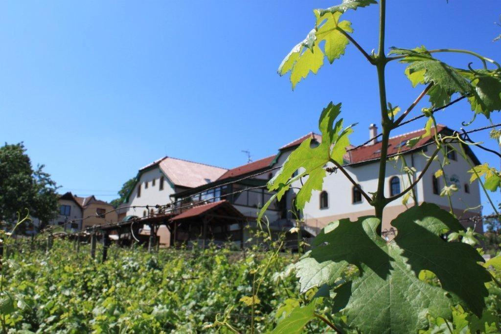 Hotel Vinohrad Milotice Exteriör bild